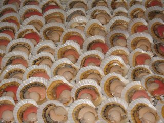 健康扇贝.jpg 健康扇贝.jpg