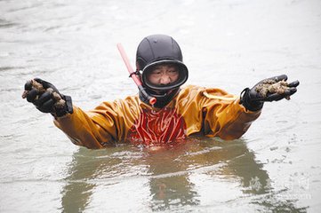 病态扇贝.jpg 病态扇贝.jpg