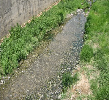 黑臭河3.png 黑臭河3.png