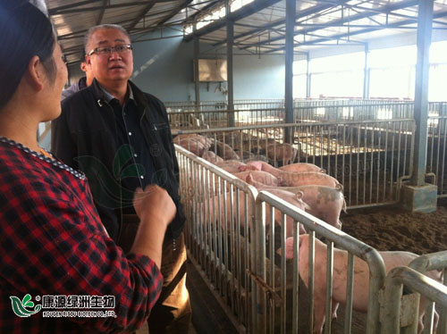 康源绿洲组织客户集体参观发酵床基地