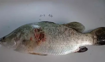 图片6.png 图片6.png