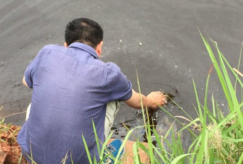 鱼塘倒灶4.png 鱼塘倒灶4.png