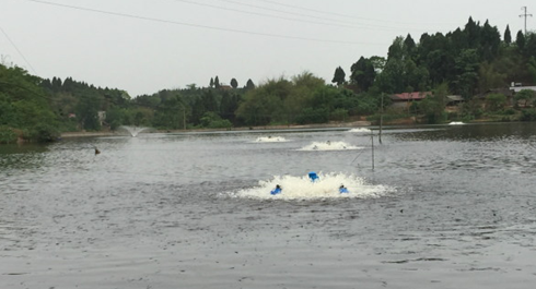 鱼塘倒灶2.png 鱼塘倒灶2.png