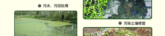 如金原液环保专用