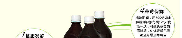 如金草莓种植菌种