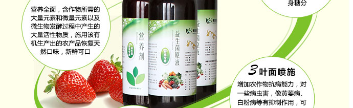 如金草莓种植菌种