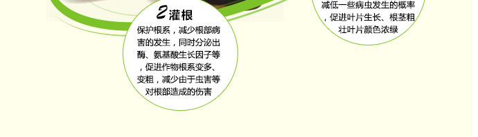 如金草莓种植菌种