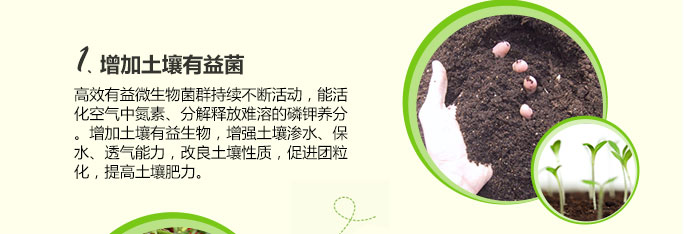 如金草莓种植菌种