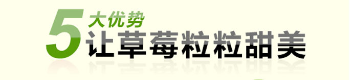 如金草莓种植菌种