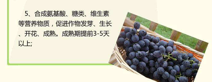 如金菌原液种植专用