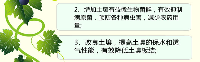 如金葡萄种植em菌种