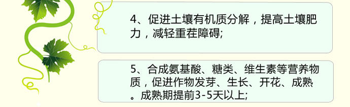 如金葡萄种植em菌种