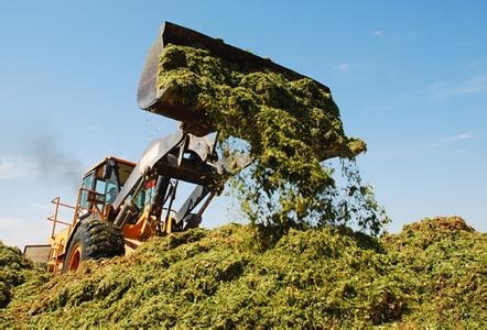 如金青贮步骤 如金青贮步骤