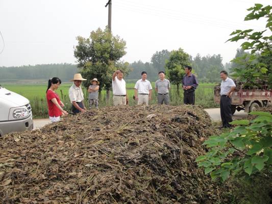 如金菌秸秆还田