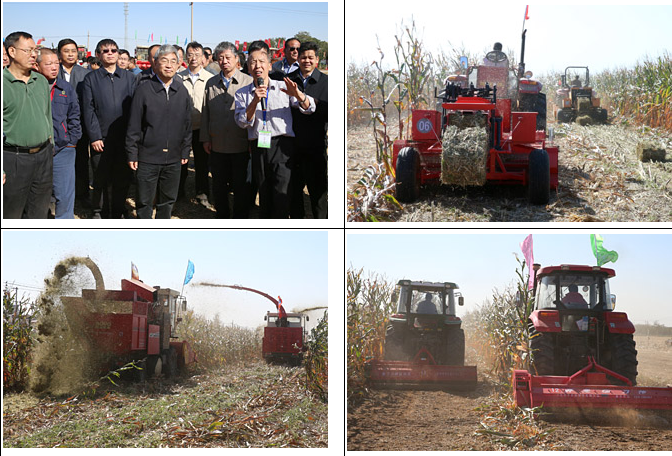如金菌青贮饲料
