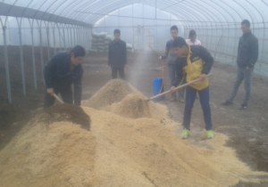 混合物料-如金菌 混合物料-如金菌