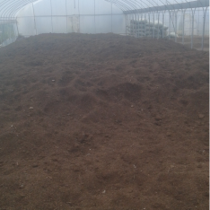 发酵效果-如金菌 发酵效果-如金菌