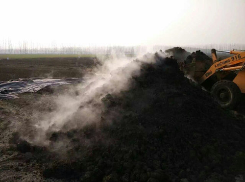 粪便发酵 粪便发酵