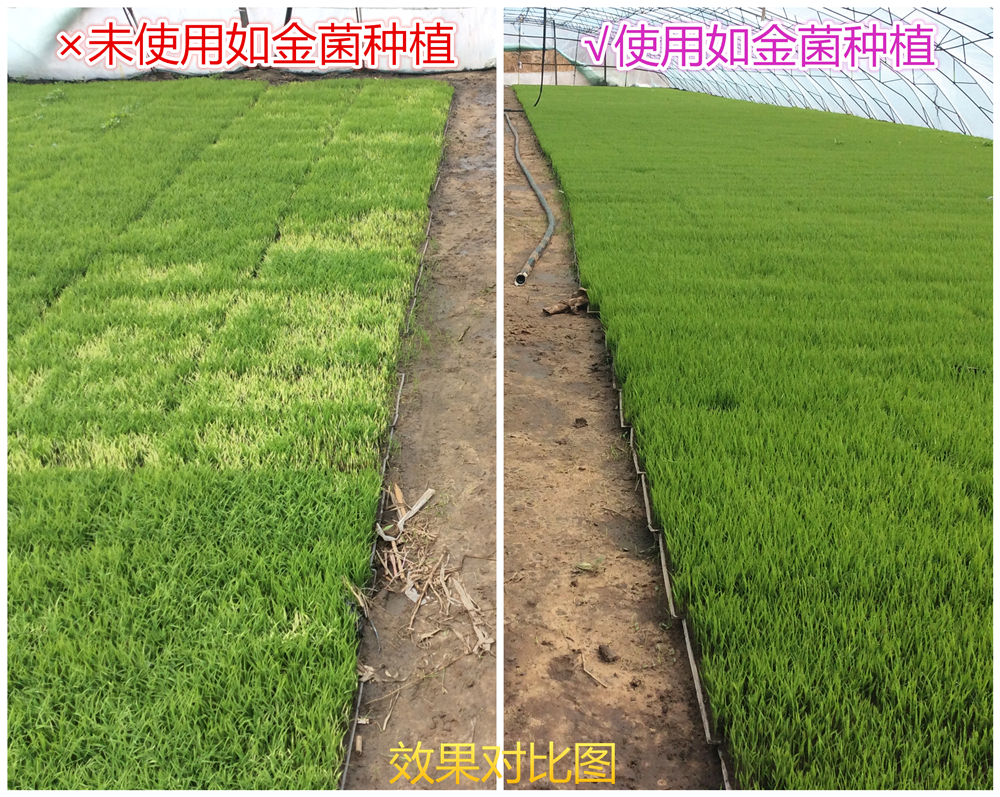 李总监出差吉林