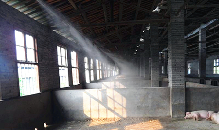 猪舍洒水降温