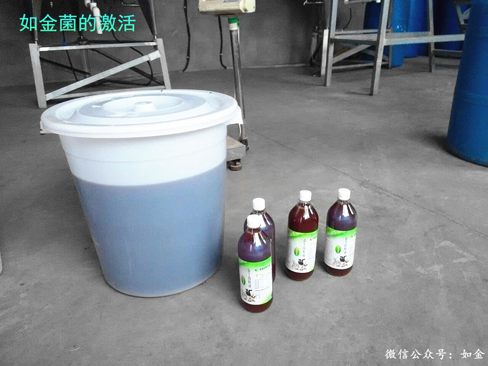 如金菌激活 如金菌激活