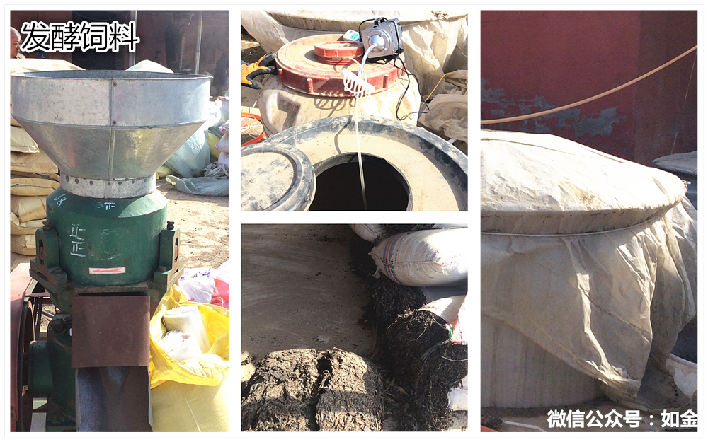 如金菌发酵饲料