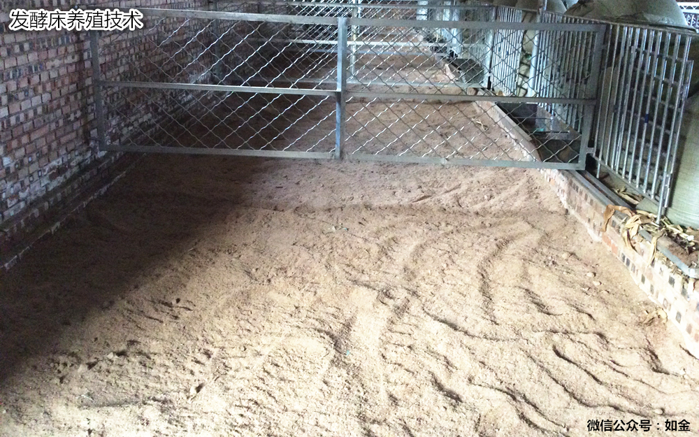 发酵床养猪养鸡