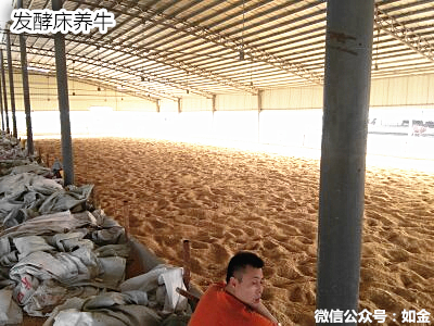 如金发酵床养牛 如金发酵床养牛