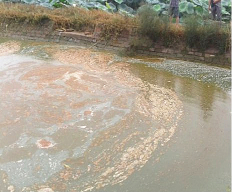 原创丨水产养殖必须重视底质改良! 原创丨水产养殖必须重视底质改良!