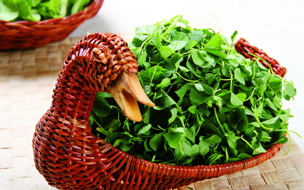 有机菜营养更高？错！我们要的是健康