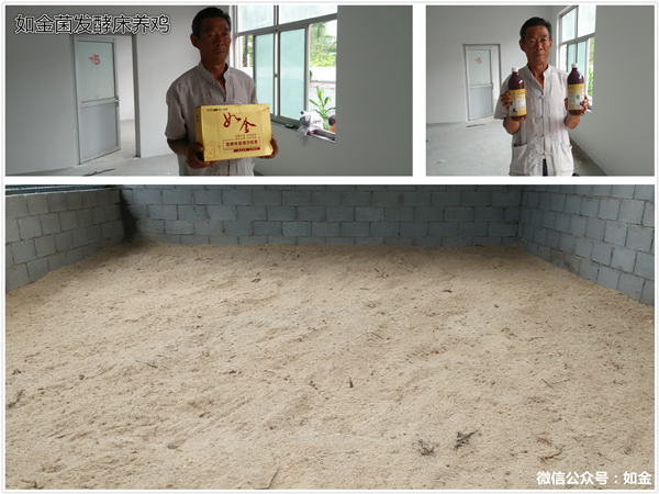 案例丨如金发酵床养鸡彻底解决养殖难题