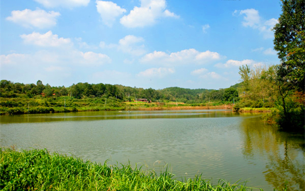 水产养殖过程中如何快速肥水