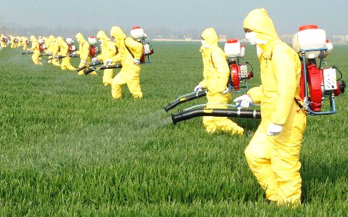 农作物病虫害防治效果差原来是因为.. (2).jpg