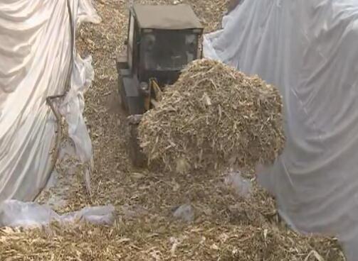 QQ截图20160810164956.jpg QQ截图20160810164956.jpg