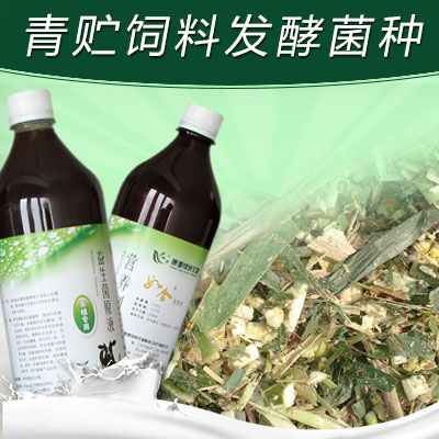 青贮饲料菌种