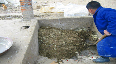 有机肥发酵 有机肥发酵