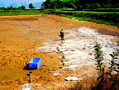 养鱼.png 养鱼.png