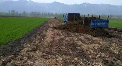 有机肥 有机肥