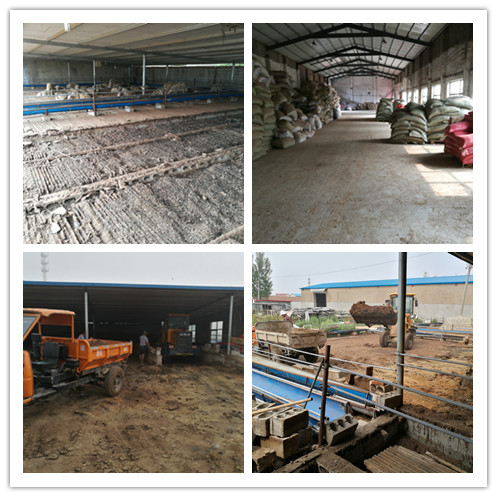 有机肥发酵剂 有机肥发酵剂