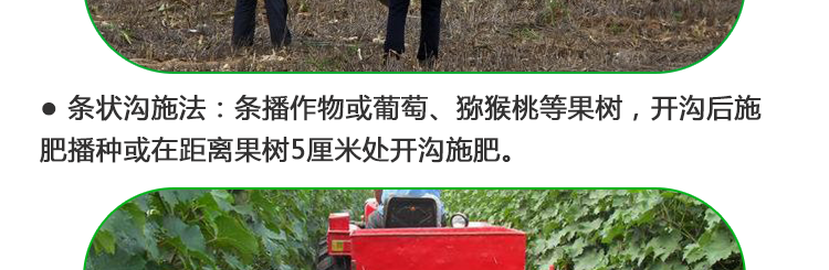 有机肥产品页_19.png