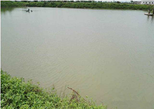 timg (12).jpg timg (12).jpg