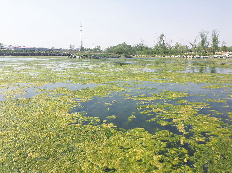 timg (14).jpg timg (14).jpg