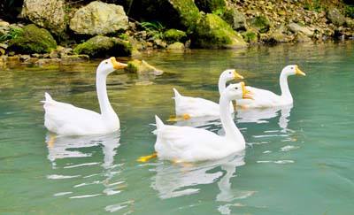 timg (11).jpg timg (11).jpg