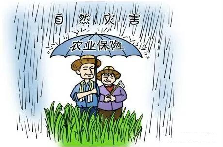 微信图片_20180103151052.jpg 微信图片_20180103151052.jpg