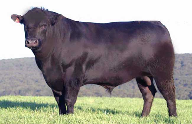 20160712011754216.jpeg 20160712011754216.jpeg