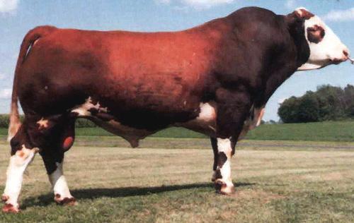 u=651029857,3016432248&fm=27&gp=0.jpg u=651029857,3016432248&fm=27&gp=0.jpg