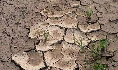 微信图片_20180108144405.jpg 微信图片_20180108144405.jpg