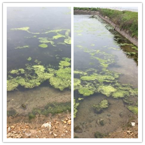 未命名.png 未命名.png