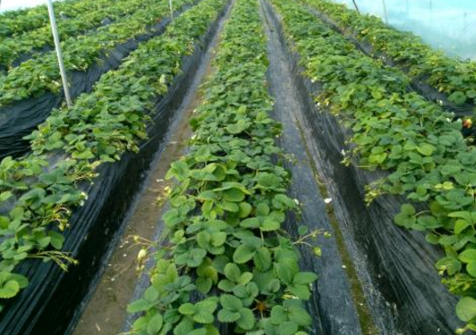 图片3.png 图片3.png