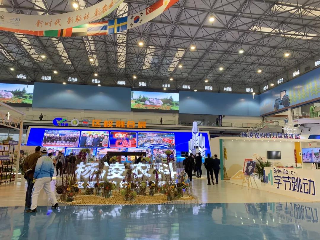 微信图片_20181112091235.jpg 微信图片_20181112091235.jpg